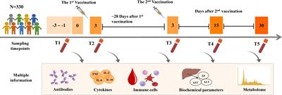 Metabolomics acts as a powerful tool for comprehensively evaluating vaccines approved under emergency: a CoronaVac retrospective study